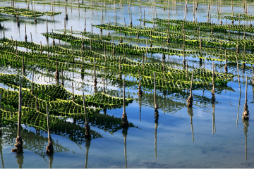 幸誠ホームページ用決定のコピー (360 x 240 px) (4)