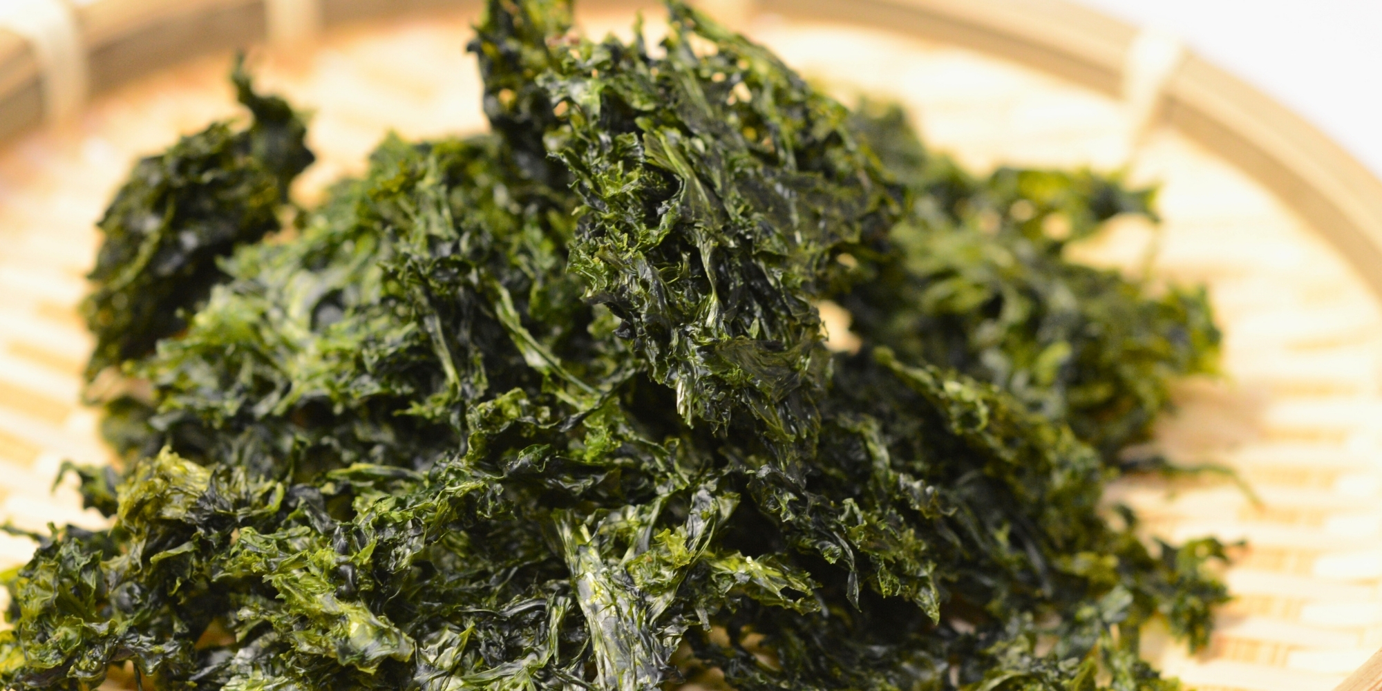 TOP最下部　青さ　PC用